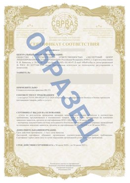 Образец Сертификат СТО 01.064.00220722.2-2020 Вилючинск Сертификат СТО 01.064.00220722.2-2020 